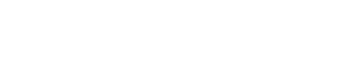 Steyn Capital Management
